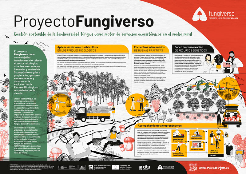 FUNGIVERSO_panel_01_general