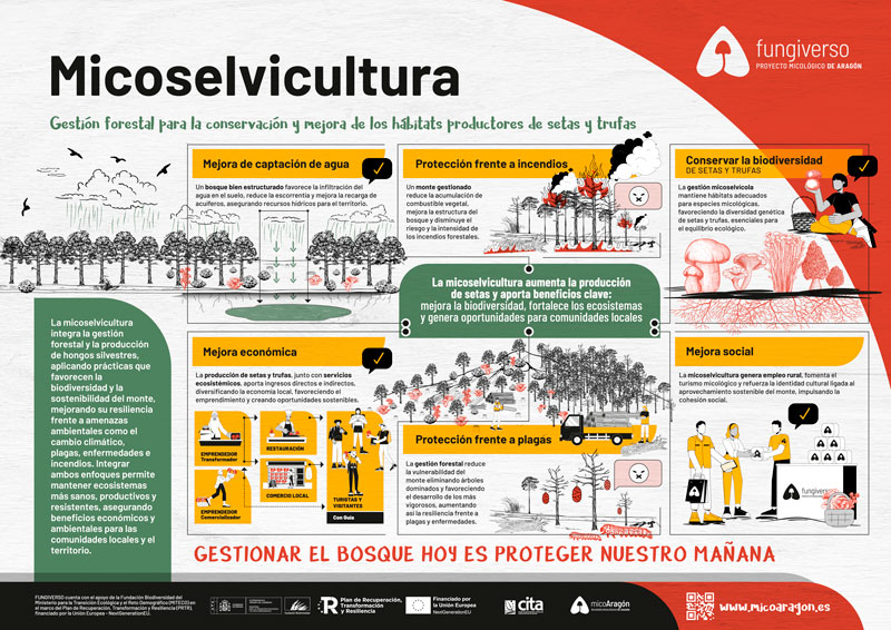 FUNGIVERSO_panel_04_micoselvicultura
