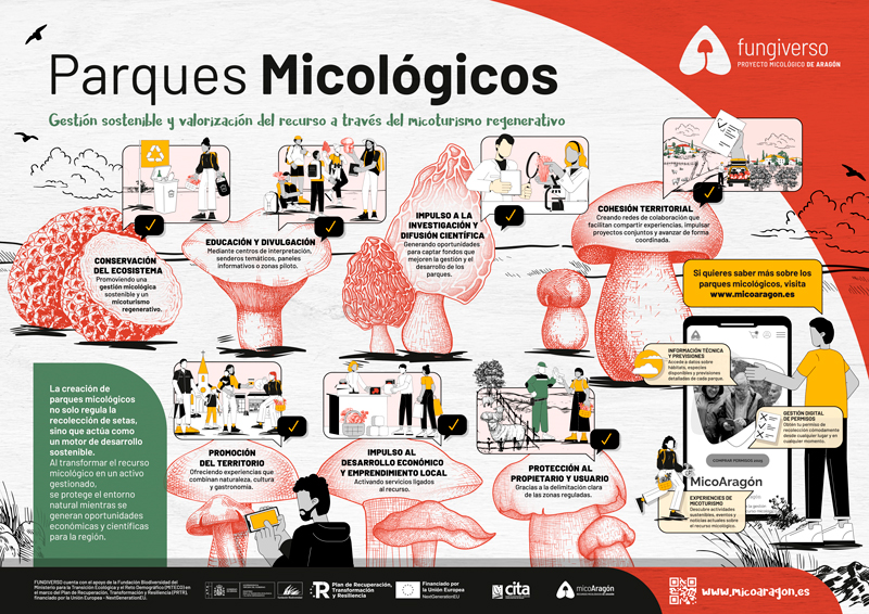 FUNGIVERSO_panel_05_parques-ok